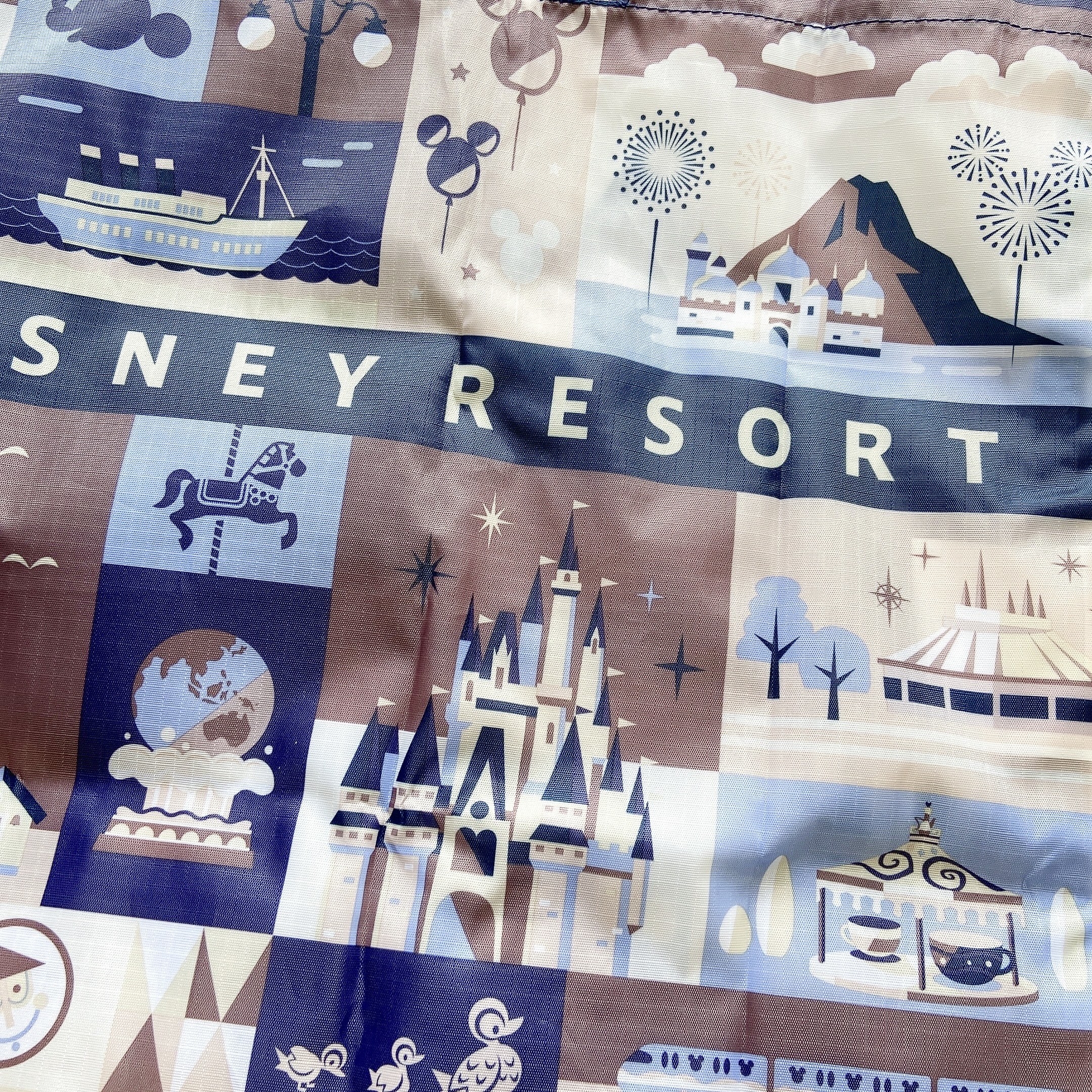 東京ディズニーランド(Tokyo Disneyland)のおすすめお土産「ショッピングバッグ」