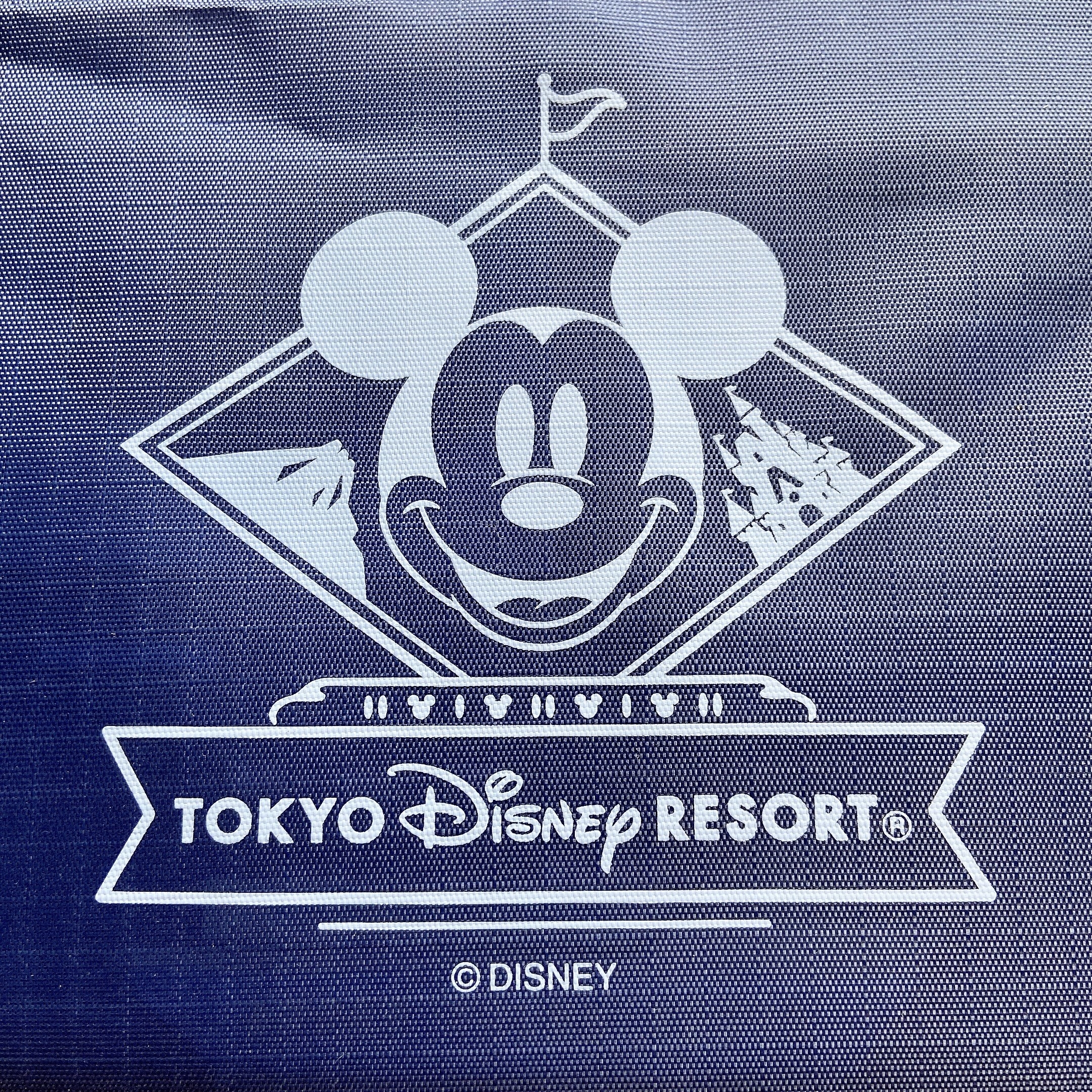 東京ディズニーランド(Tokyo Disneyland)のおすすめお土産「ショッピングバッグ」