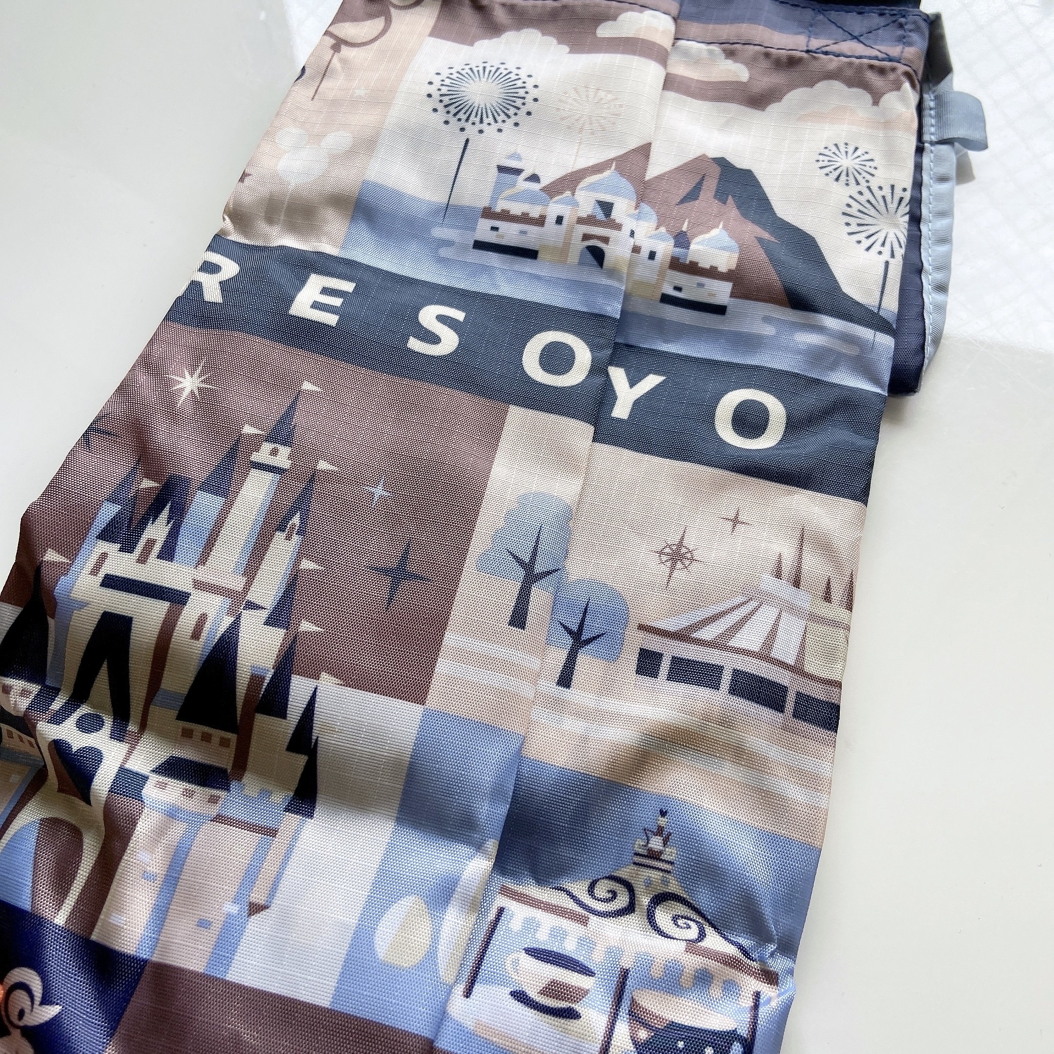 東京ディズニーランド(Tokyo Disneyland)のおすすめお土産「ショッピングバッグ」