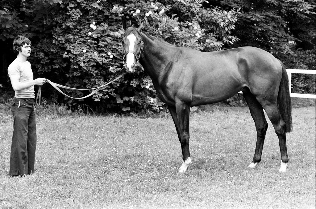 Shergar with a trainer