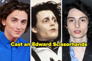Timothee Chalamet and Finn Wolfhard next to a photo of Edward Scissorhands with caption "cast an edward scissorhands"