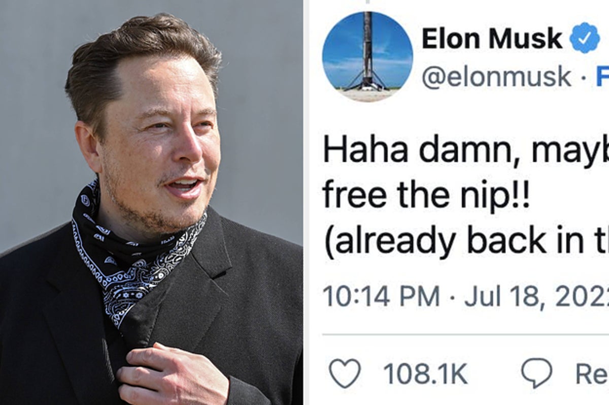 Stor eg region spiselige Elon Musk's Shirtless Yacht Memes Spark Discussion On Body-Shaming