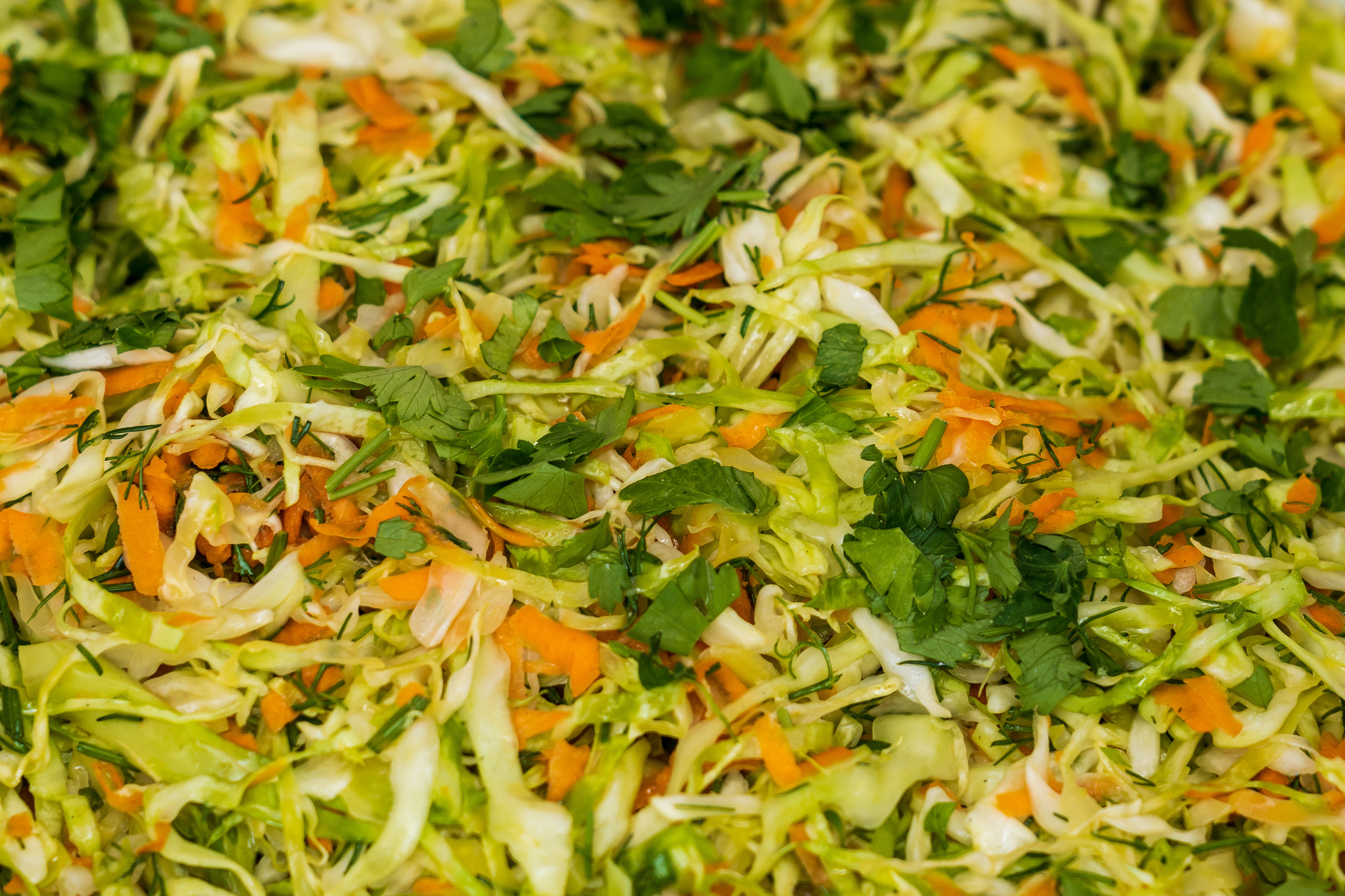 Up-close coleslaw with cabbage, carrots and parsely
