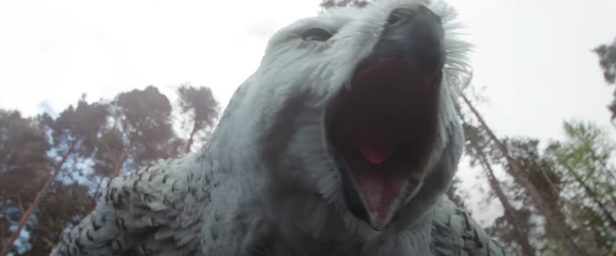 An owl bear screams