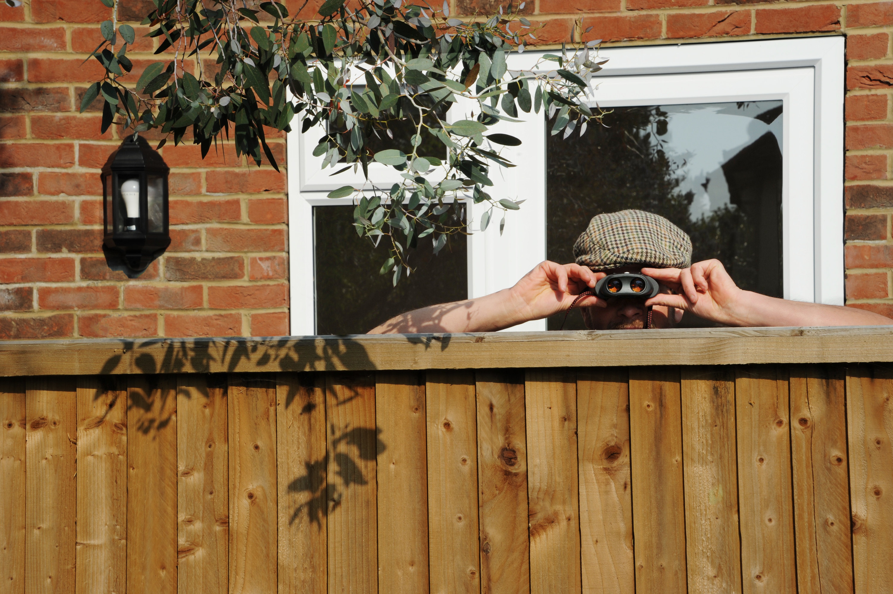 nosy neighbor looking over the fence