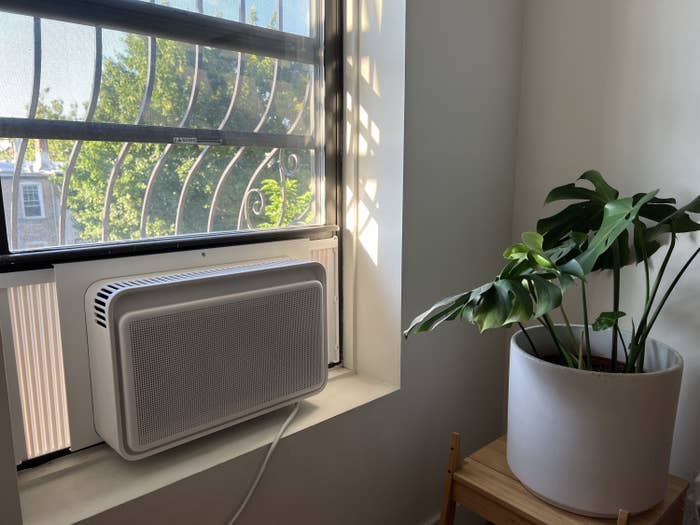 the AC unit next to a plant in white pot