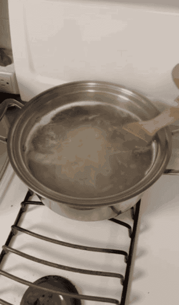 pot of water boiling on stove