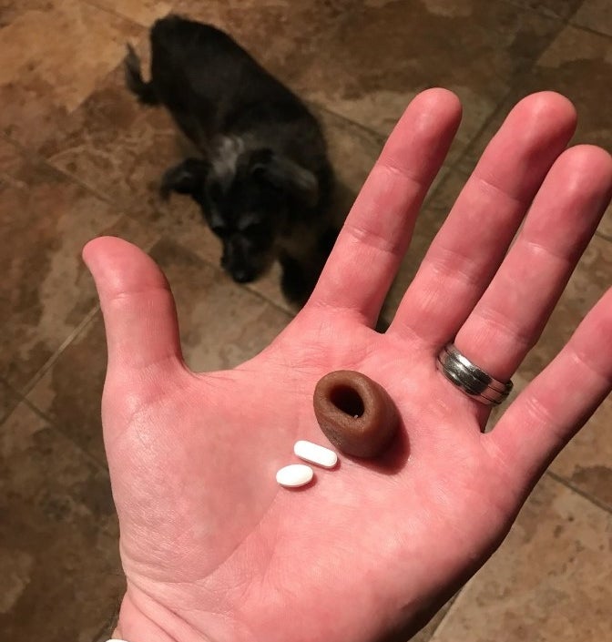 A reviewer&#x27;s hand with brown treat and white pills in front of a small black dog