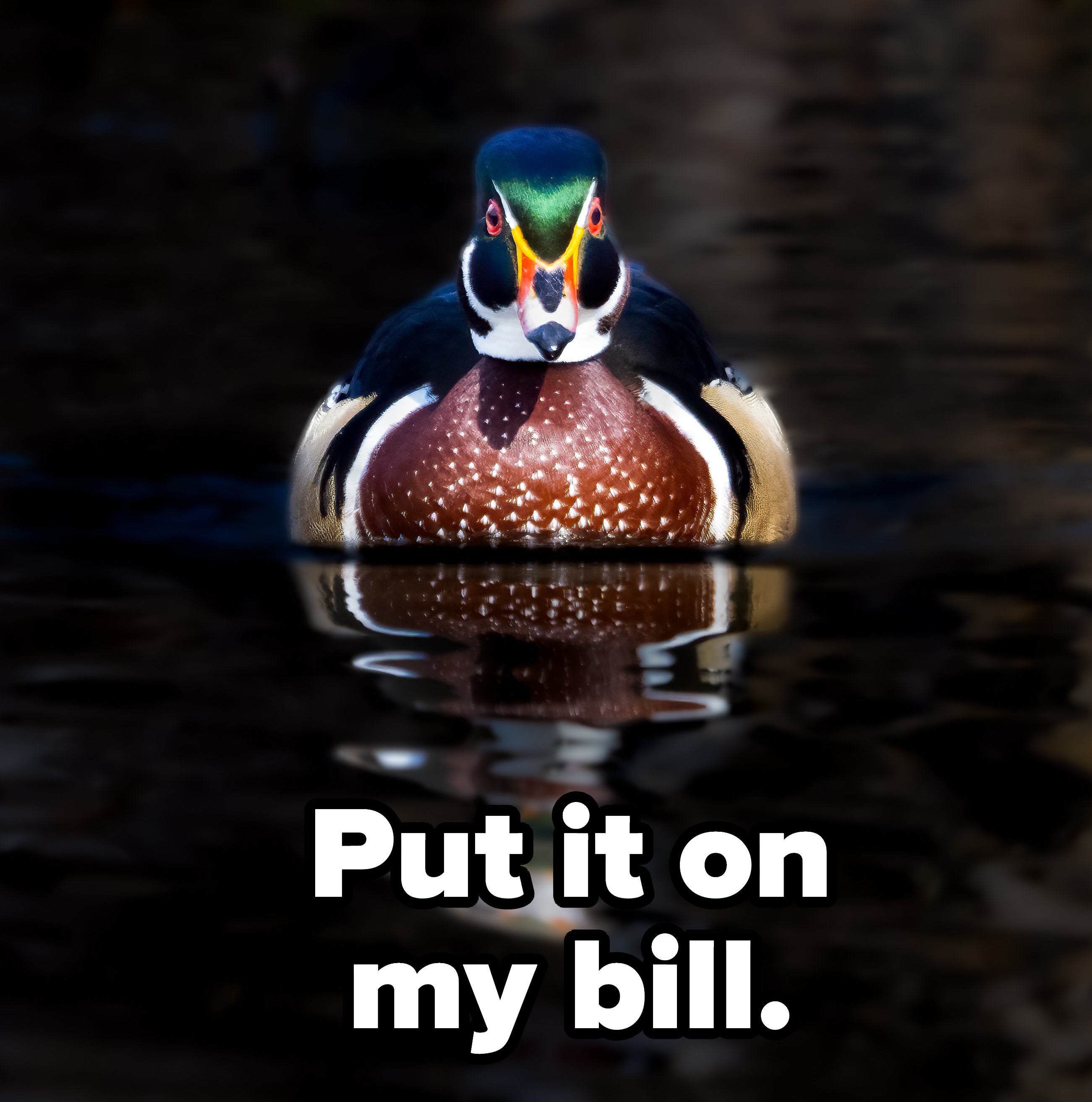 Put it on my bill