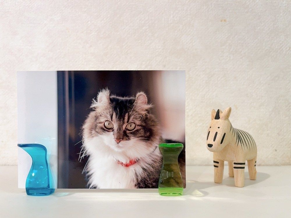 DAOSO(ダイソー)の便利アイテム「リーフクリップ」