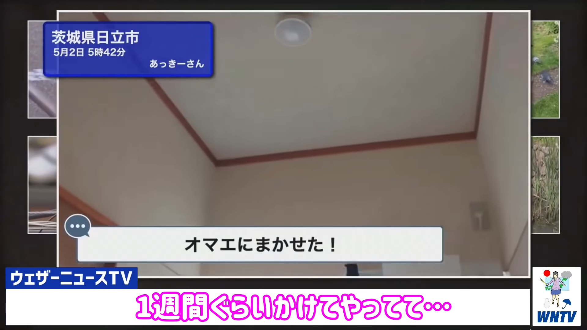 人気お天気キャスター 生放送中に ポケモンガチ勢 発覚 厳選しないといけない 人気お天気キャスター 生放送中に ポケモンガチ勢 発覚 厳選しないといけない