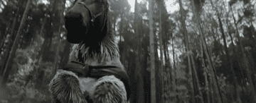 GIF of a ferocious owlbear in the forest