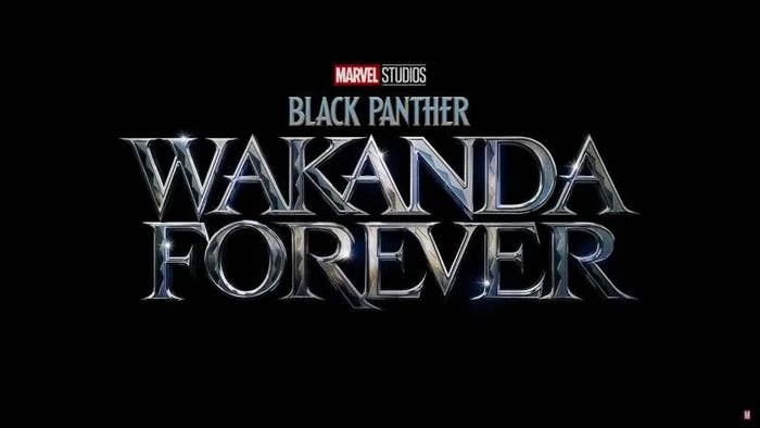 黑豹:Wakanda直到永远