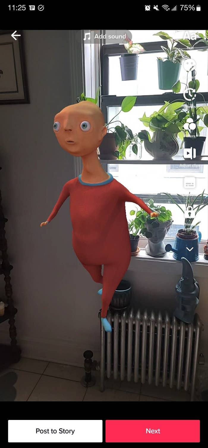 the horace filter from tiktok