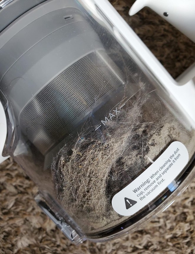 A reviewer&#x27;s vacuum full of grey fluff and dirt