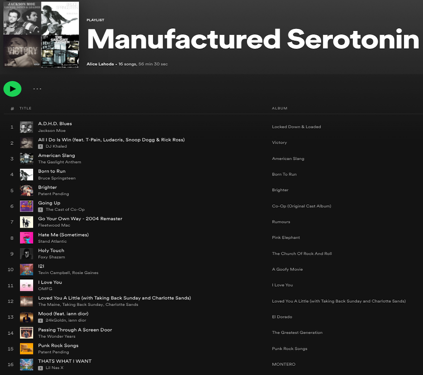 screenshot showing the songs on the playlist