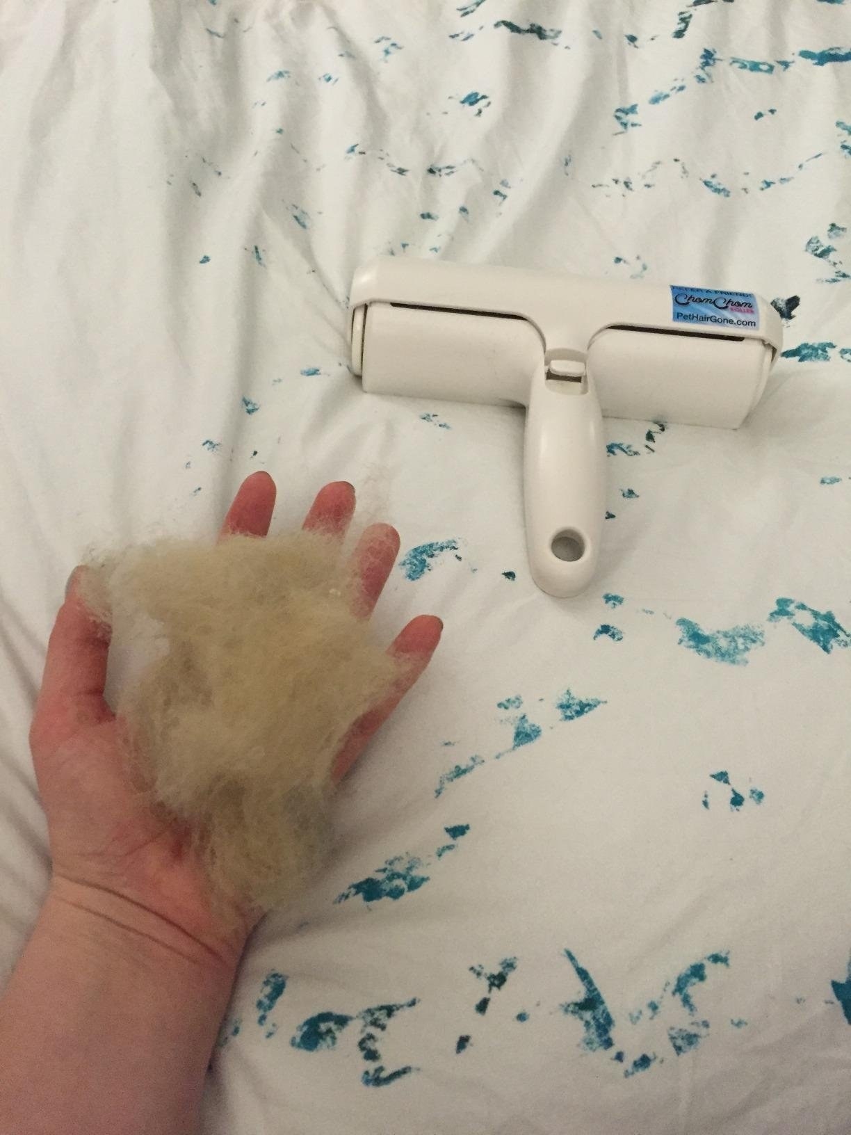 Reviewer holding a clump of cat hair in hand next to roller on the now spotless bed