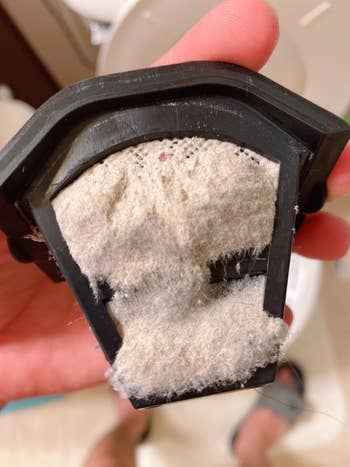a reviewer showing all the dust collected with the mattress vacuum