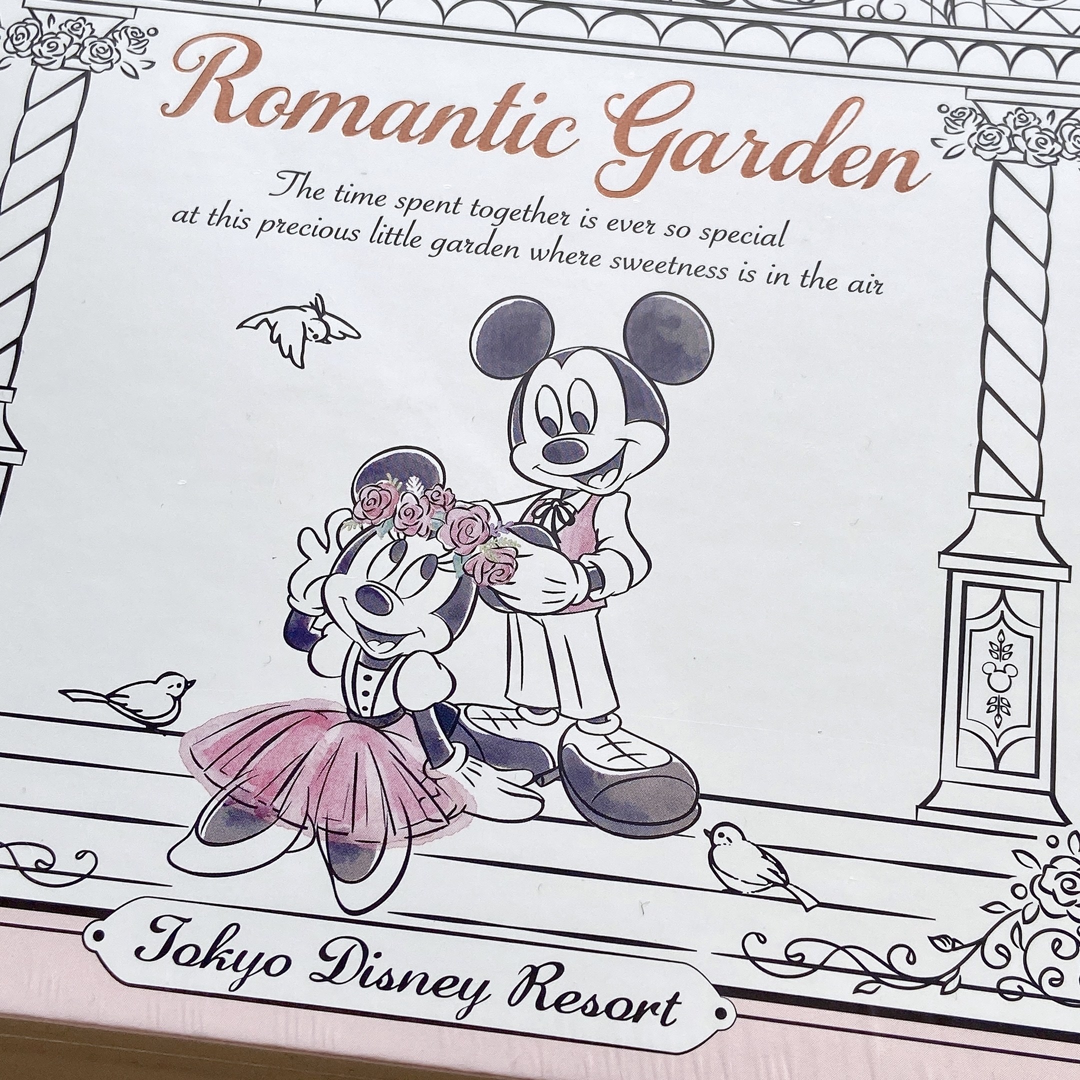 東京ディズニーランド（Tokyo Disneyland）のおすすめおみやげ「クリームサンドクッキー 紙箱」ミッキーとミニーがかわいい