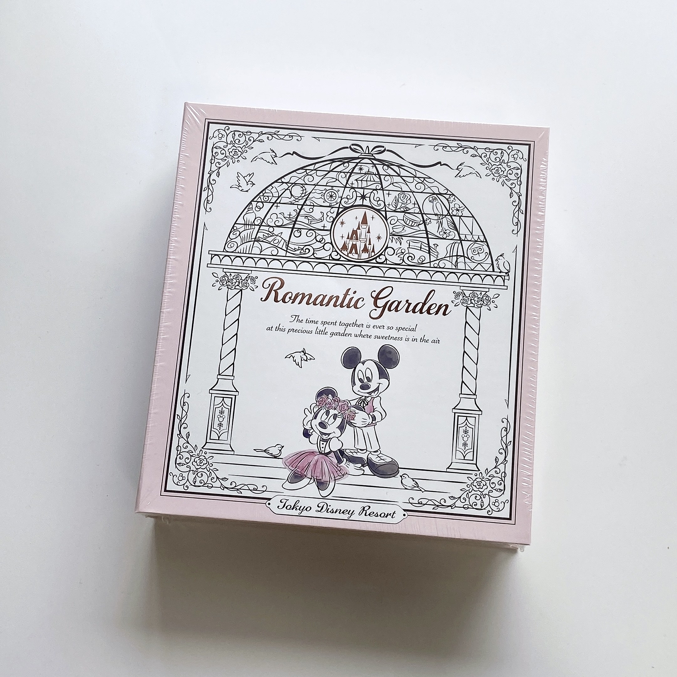 ★東京ディズニーランド（Tokyo Disneyland）のおすすめおみやげ「クリームサンドクッキー 紙箱」ミッキーとミニーがかわいい