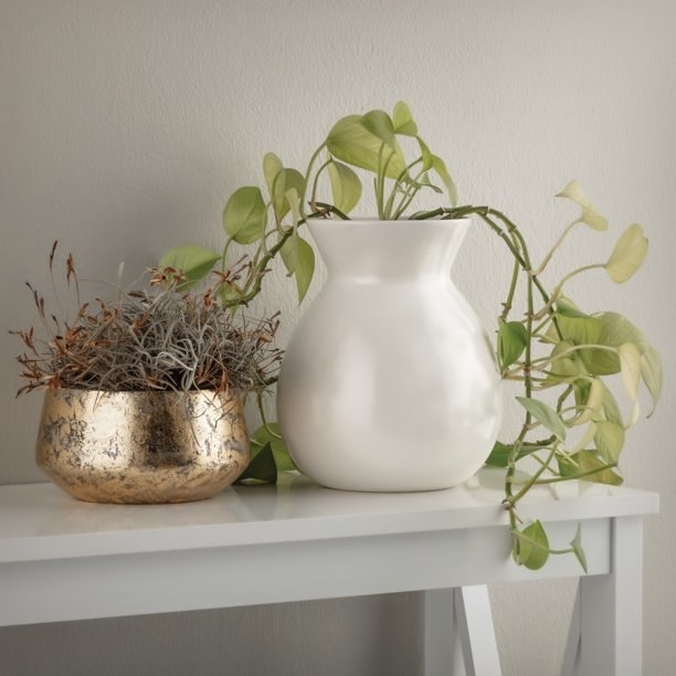 the white vase with a pothos plant in it