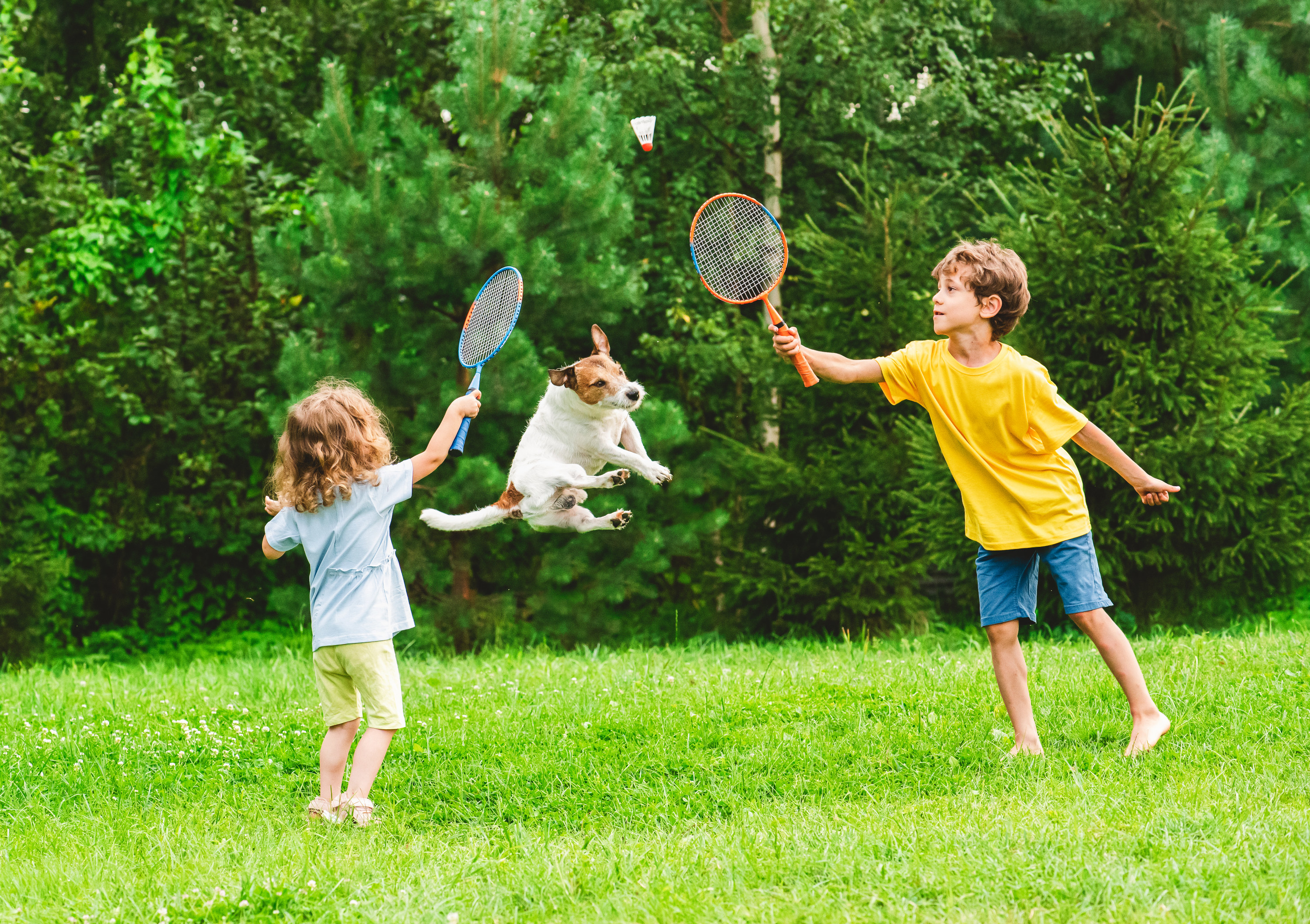 a boy and a girl playing with a dog jumping in the middle of them