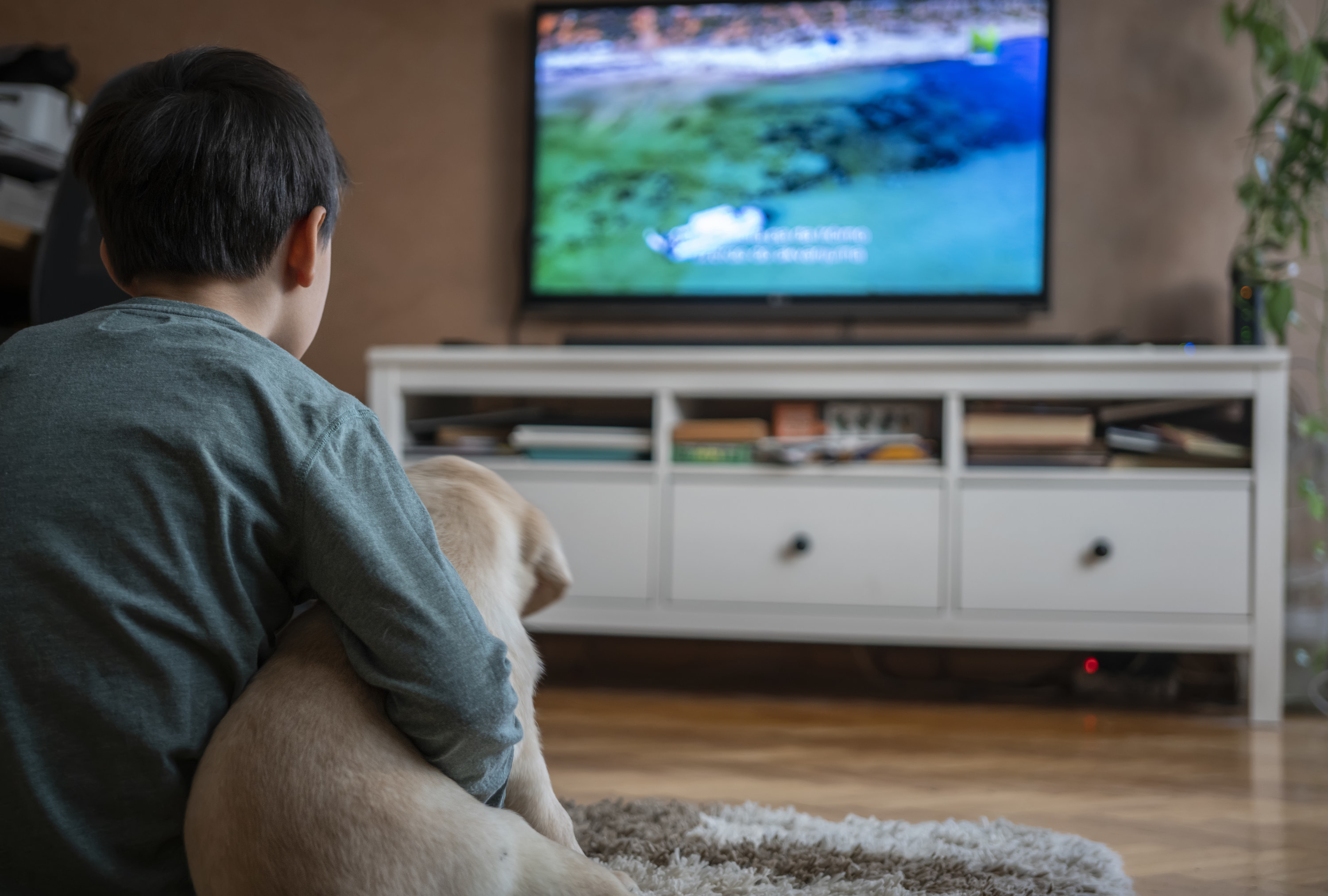 a little kid and a dog watching tv together
