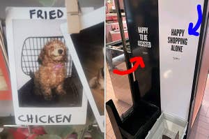 A dog named Fried Chicken, and sorted shopping bags