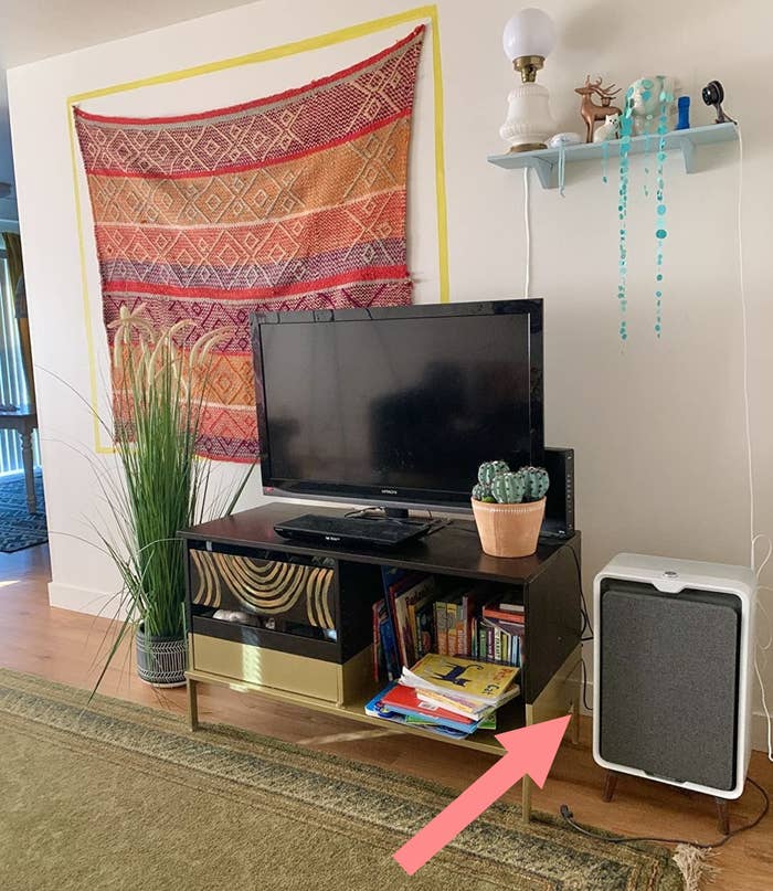 a reviewer photo of the purifier in a living room to show how it fits into the aesthetic seamlessly