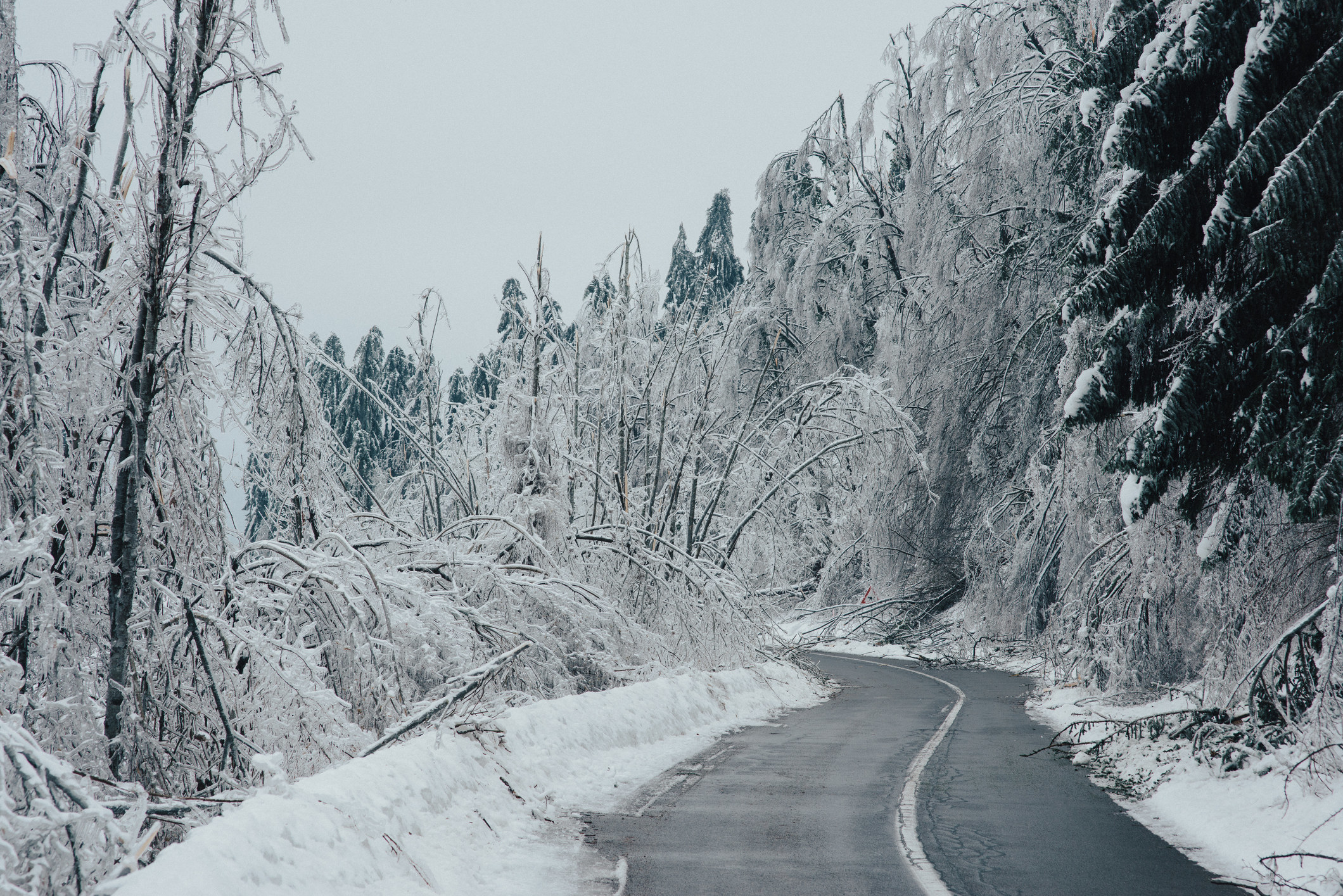 一条路穿过白雪覆盖的森林
