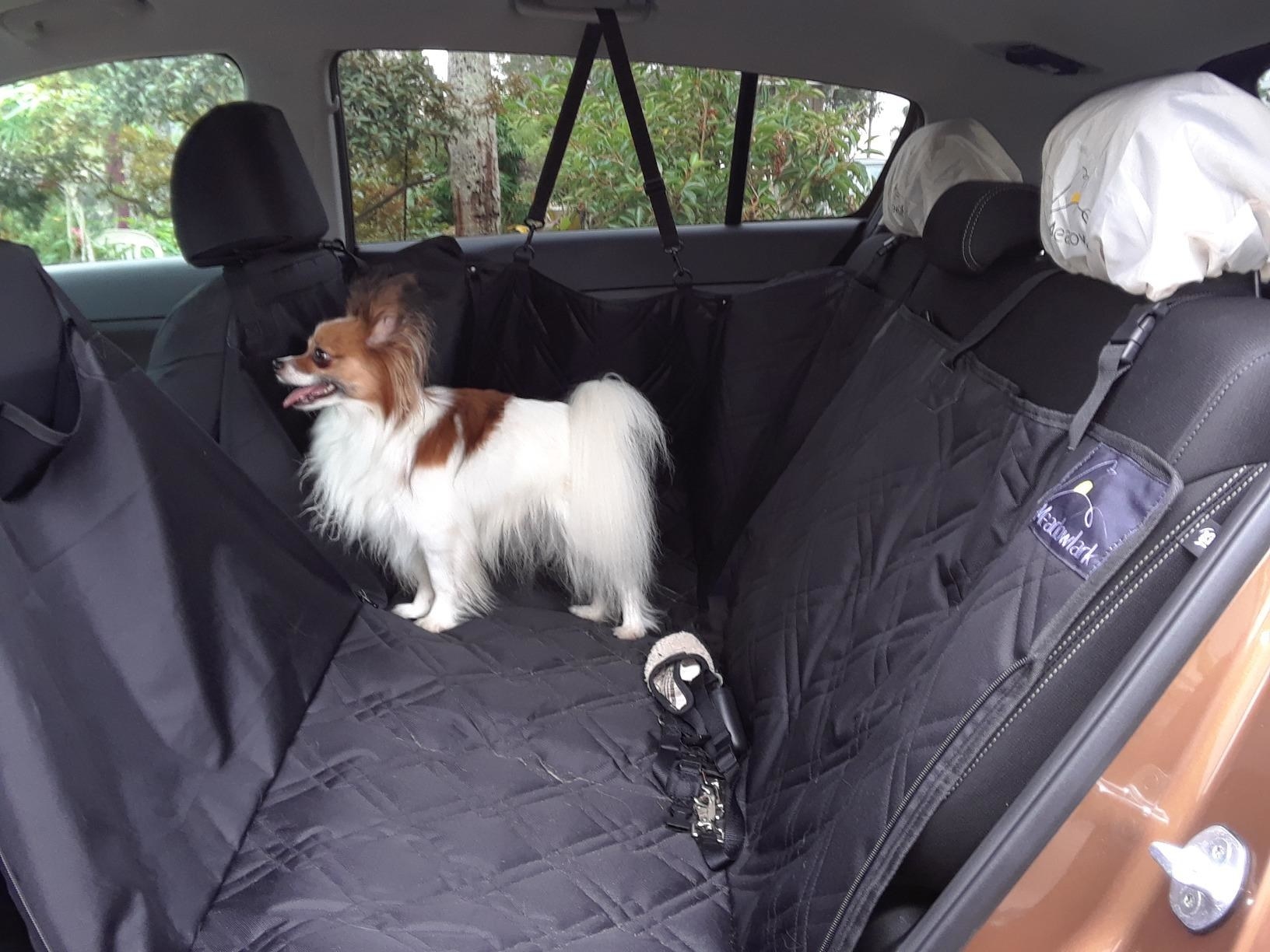 a reviewer photo with a dog on the black backseat protector