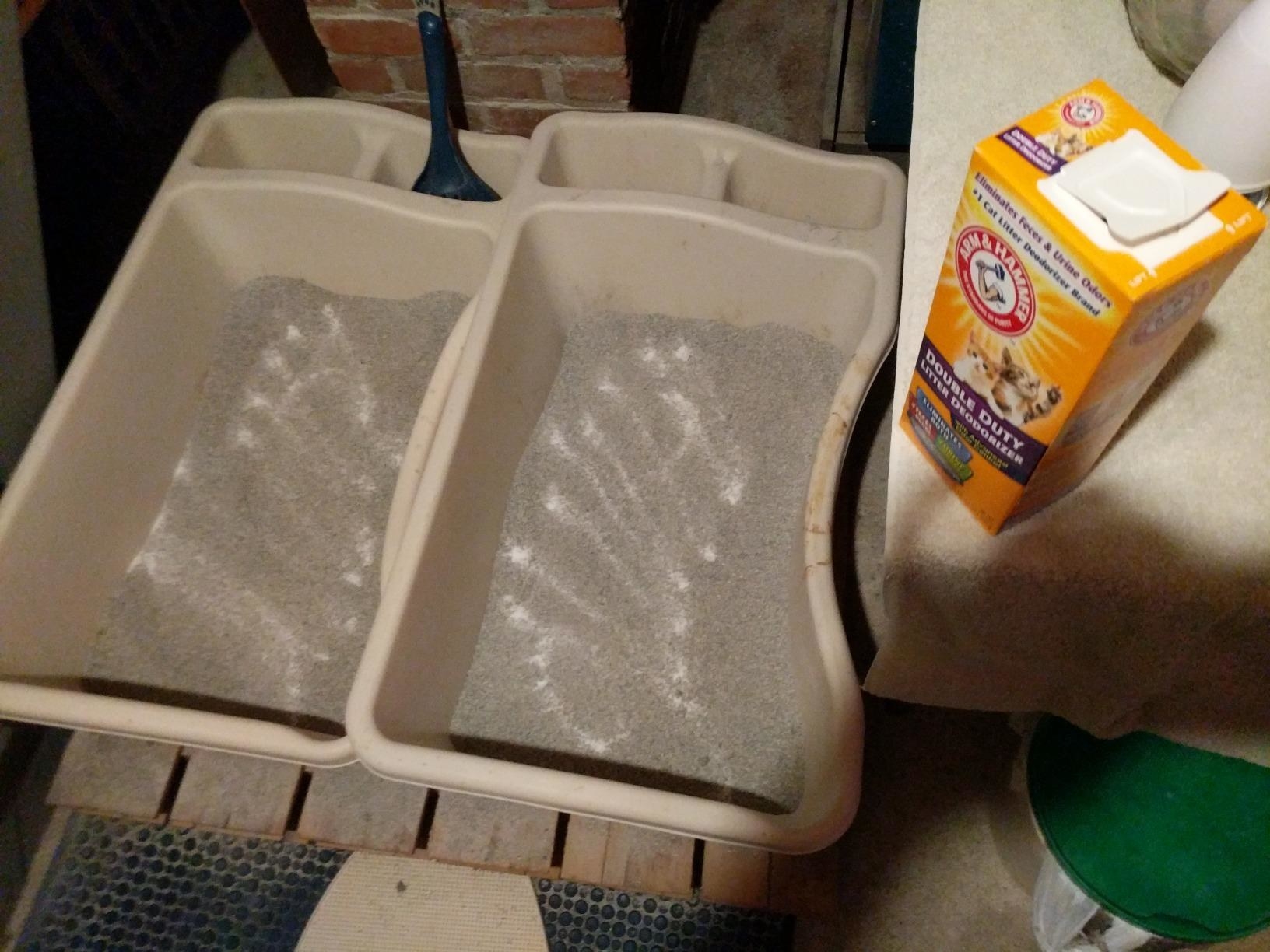 A reviewer photo of the box of powder next to two litter boxes with the powder sprinkled inside