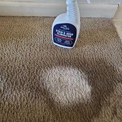 the same reviewer showing the product sprayed on the carpet