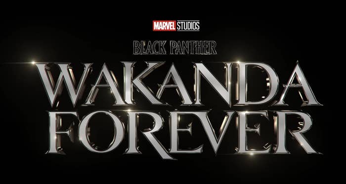 Marvel Studios黑豹:Wakanda直到永远