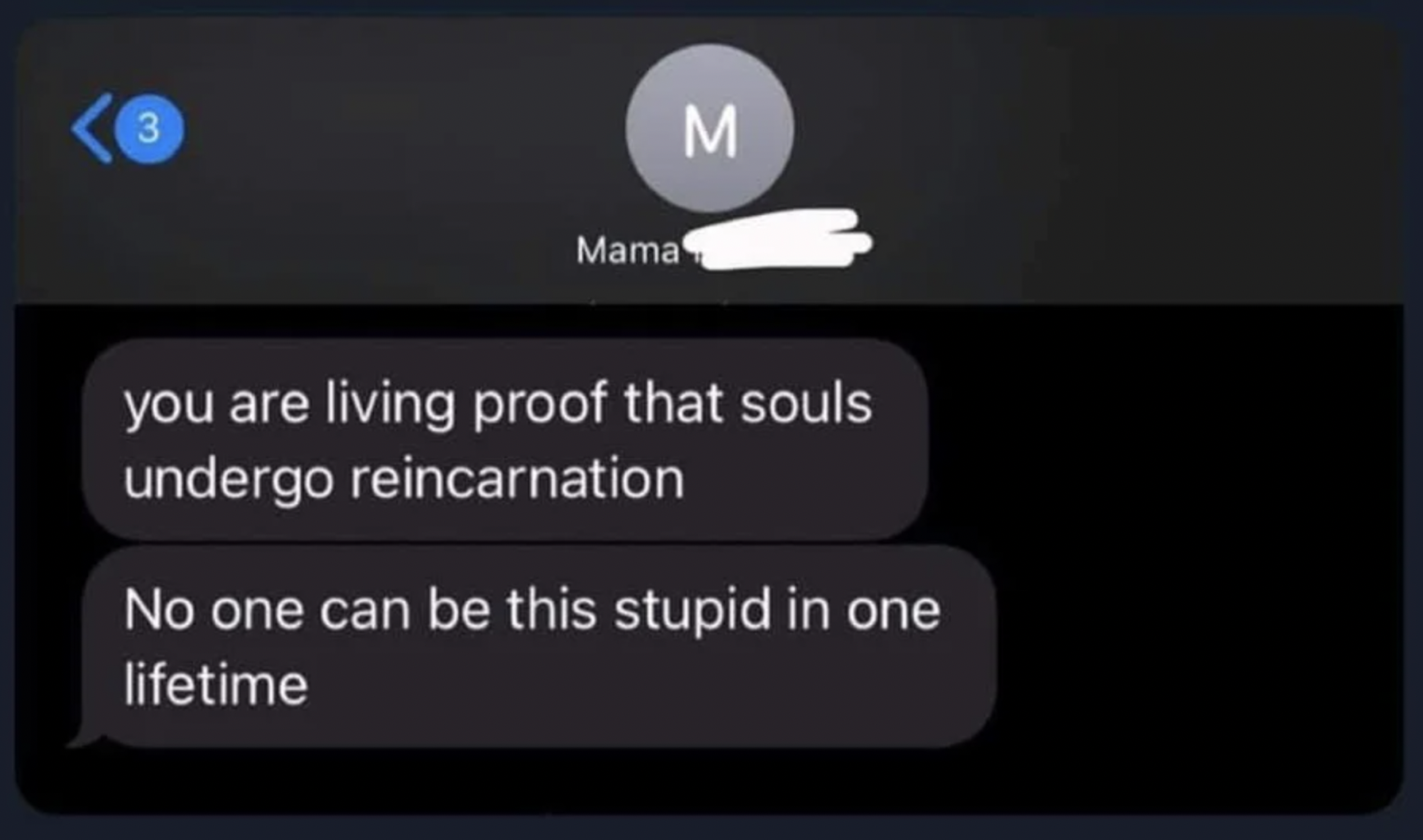 person saying you are living proof that souls undergo reincarnation no one can be this stupid in one lifetime