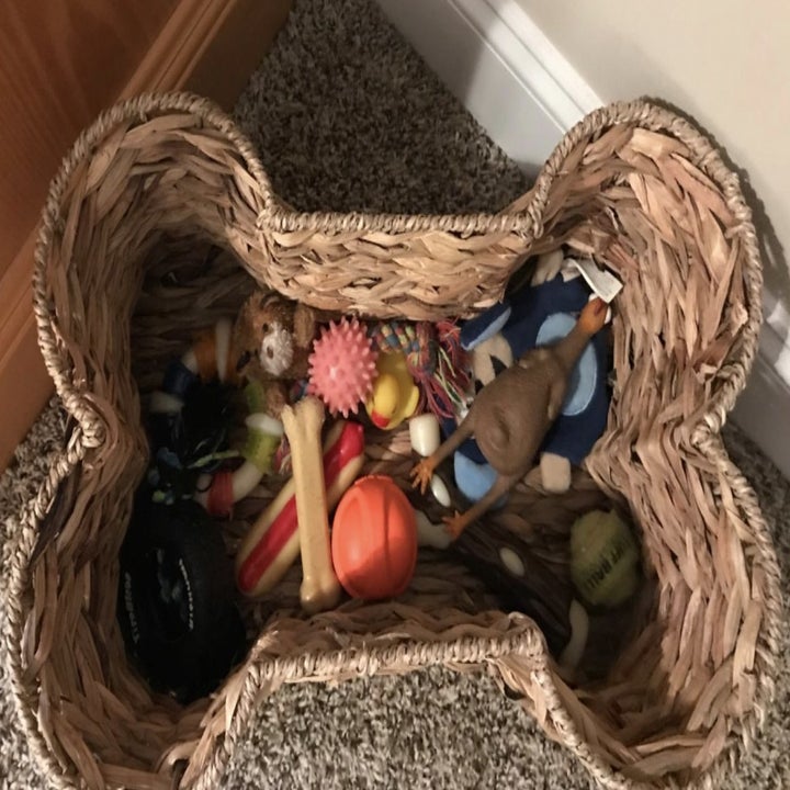 same reviewer showing close up photo of the bin filled with toys