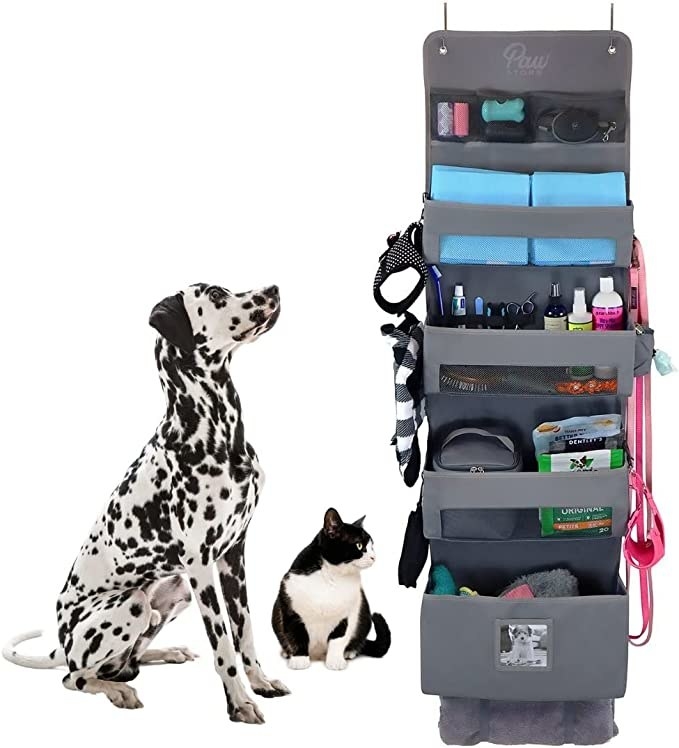 a Dalmatian and a cat looking at the storage organizer
