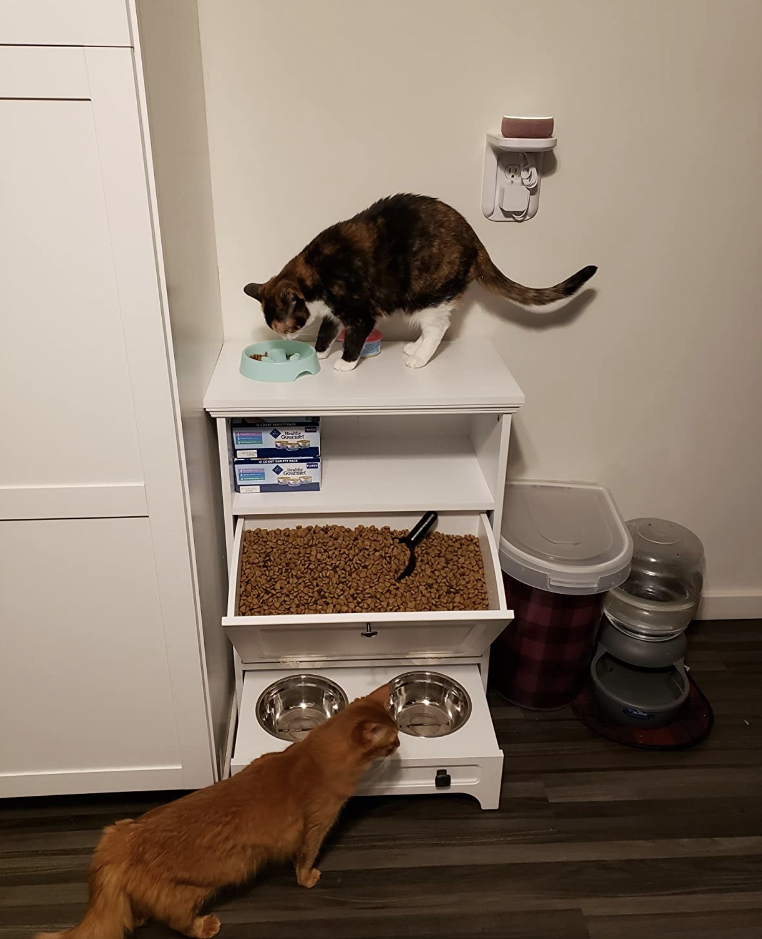 reviewer photo showing their cats at the feeding station
