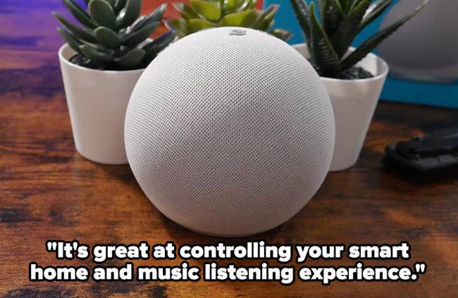 reviewer image of the white echo dot and text that reads 