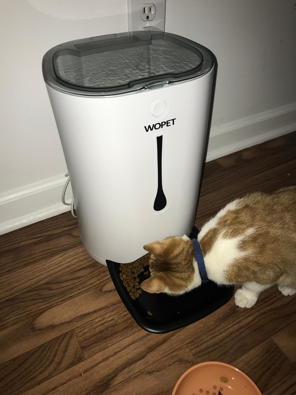 Reviewer&#x27;s image of a cat eating out of the food dispenser
