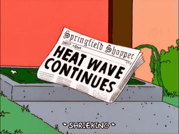 the newspaper melting and a butterfly catching fire in &quot;the Simpsons&quot;