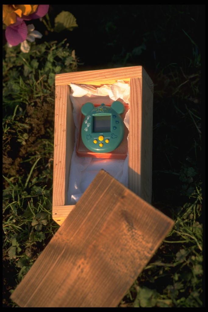 A Tamagotchi in its casket