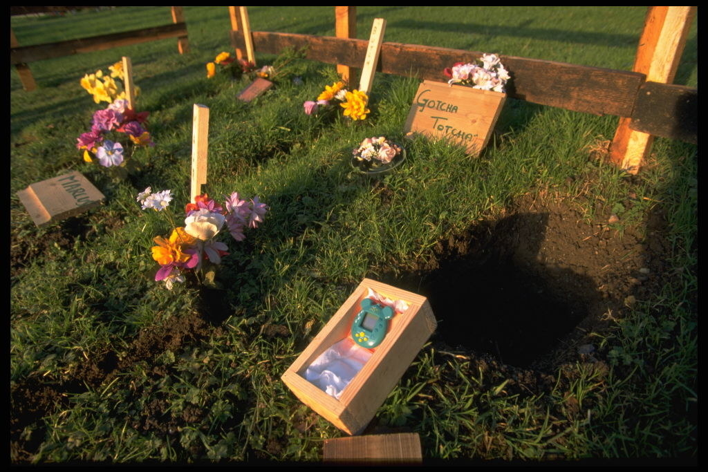 Tamagotchi plots, caskets, and memorials, some with flowers, in or on the grass