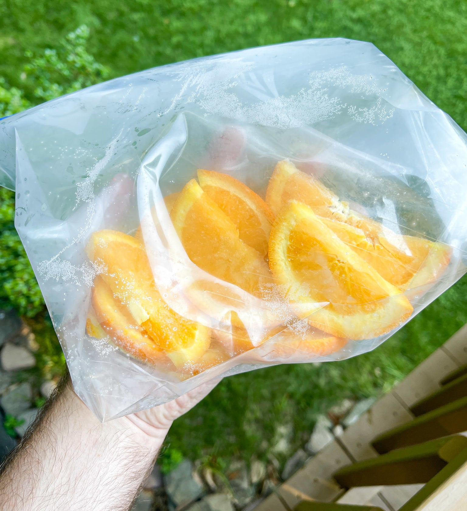 Frozen bag of orange slices outside in author&#x27;s hand