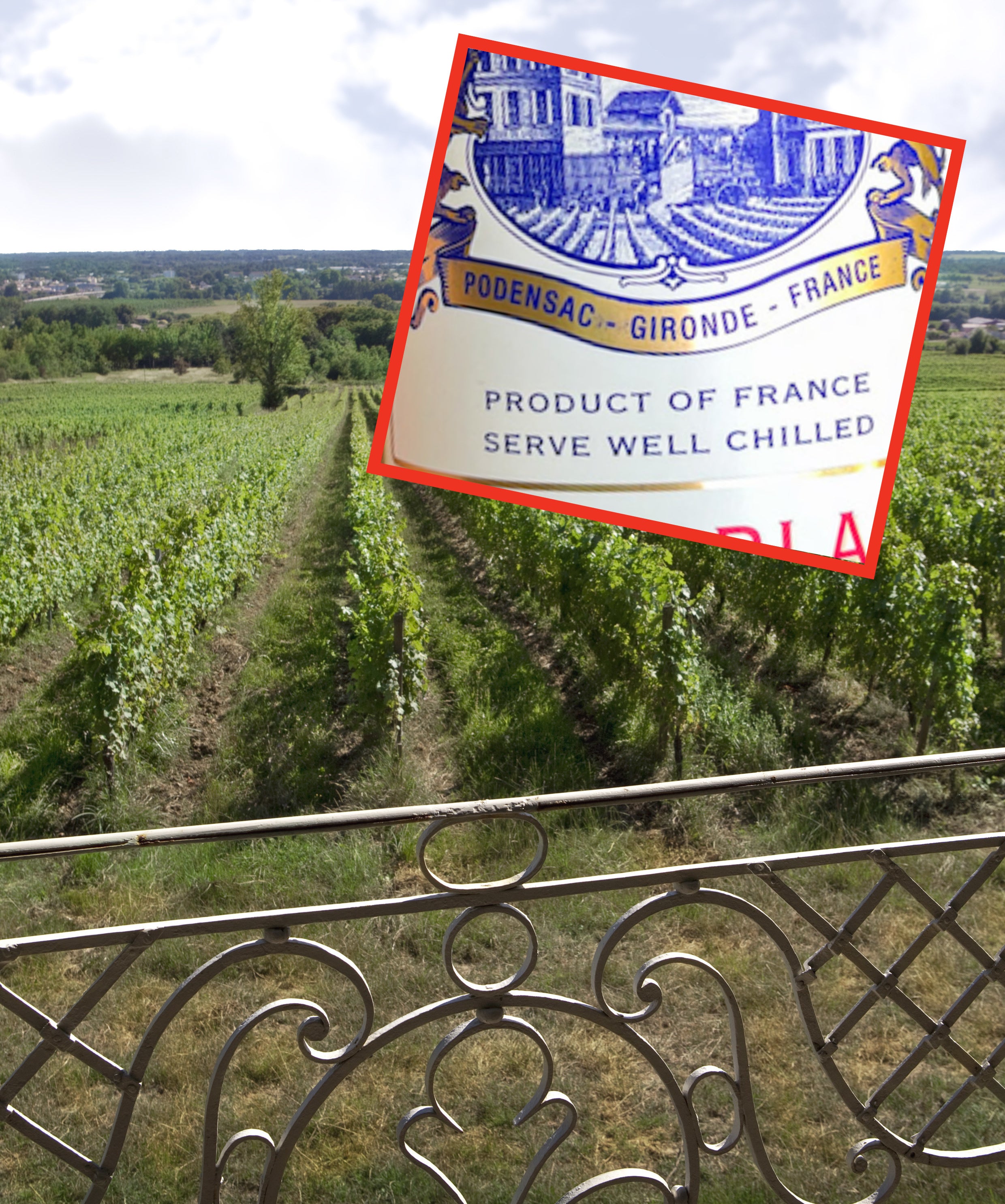 Vineyard in the hills of Bordeaux, France