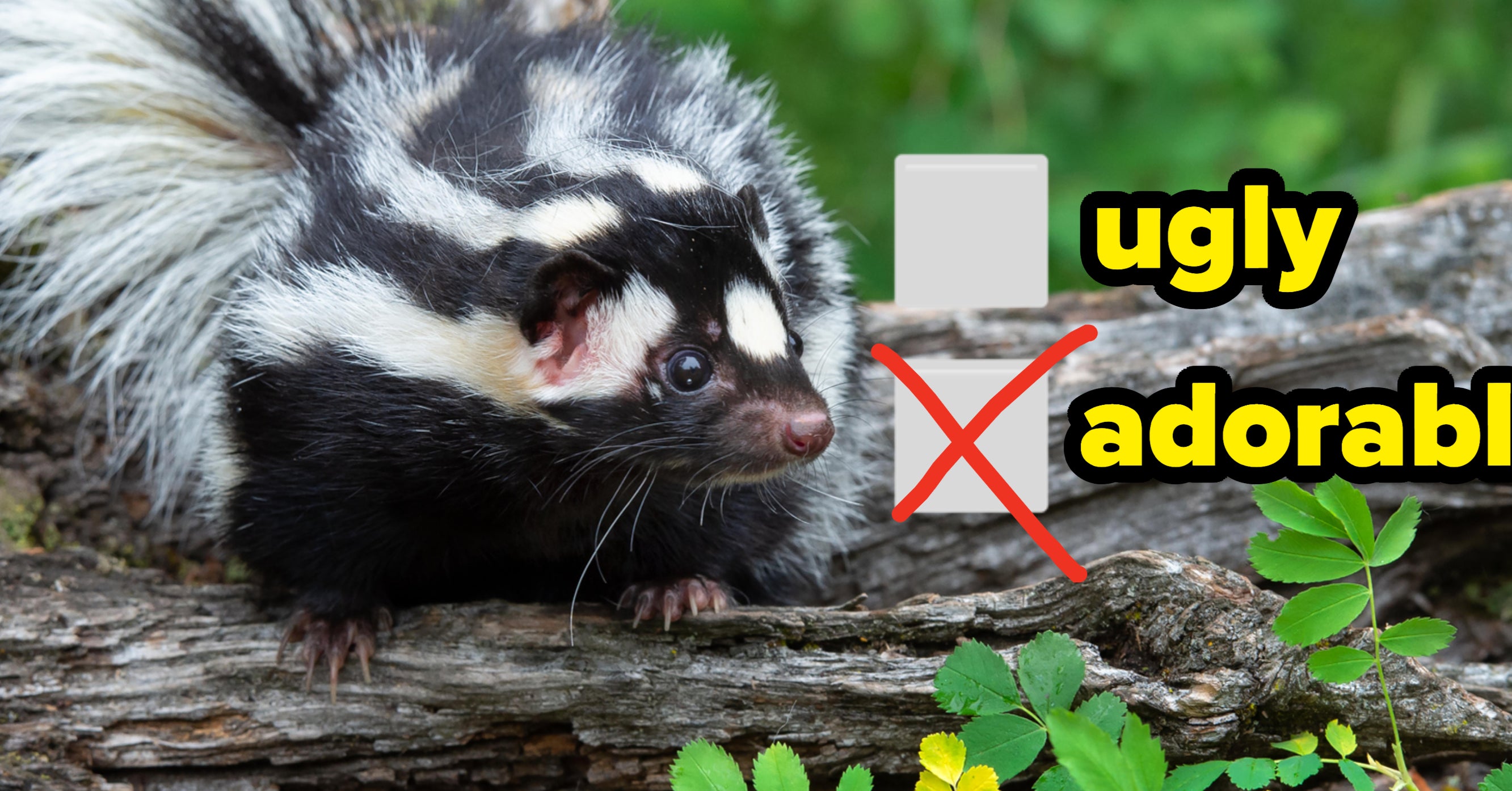 I ve Rounded Up 15 Unconventional Animals And I Need To Know If You