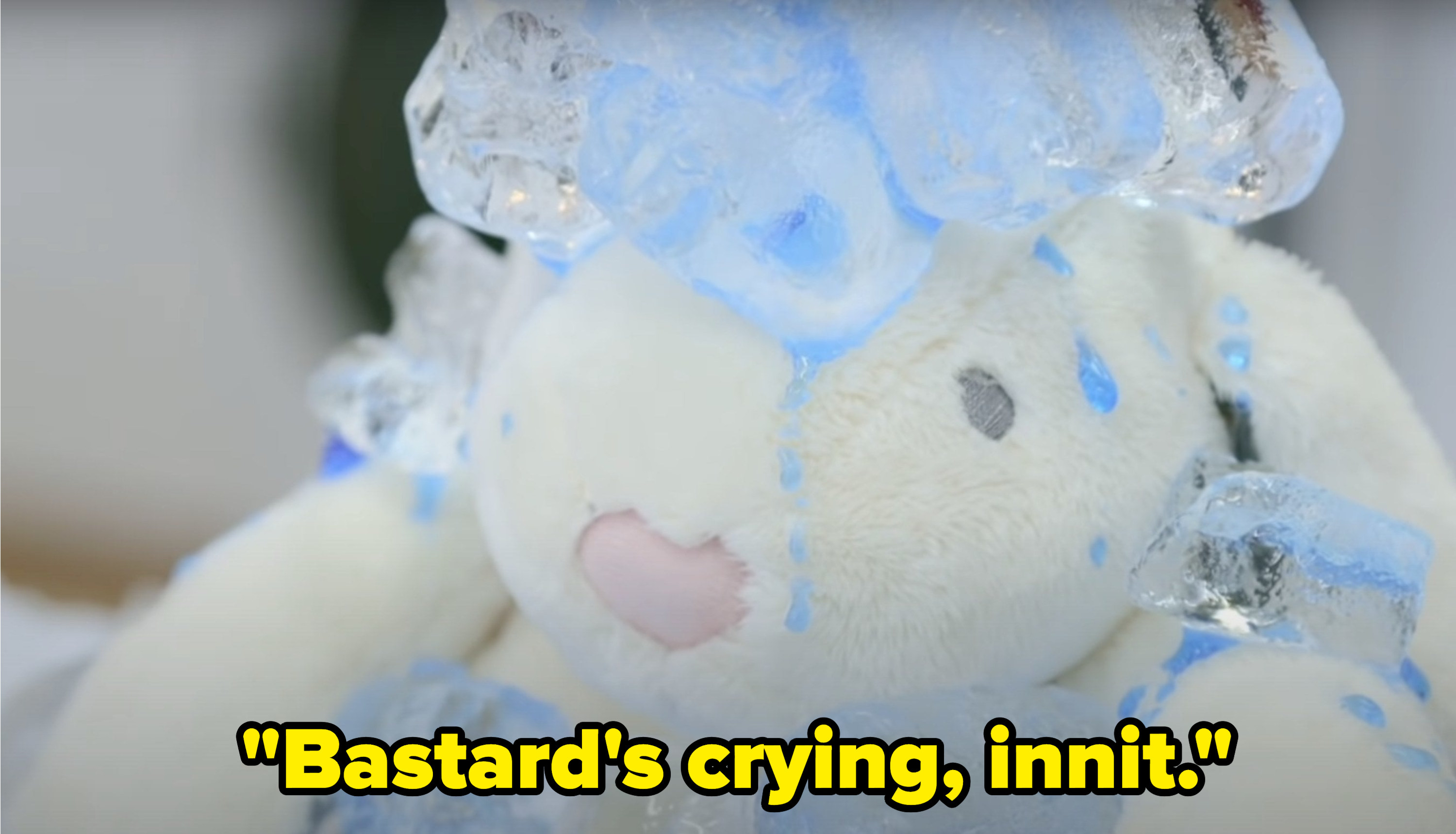 Over the image of blue droplets on a stuffed bunny, Paul Chowdhry says, Bastards crying, innit
