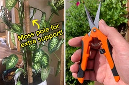 moss pole plant support / hand pruners