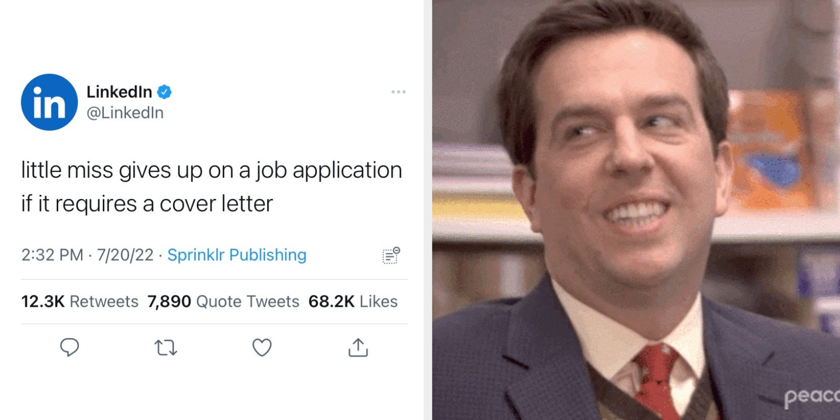 Cover Letters Are Pointless Tweets - Vimarsana News