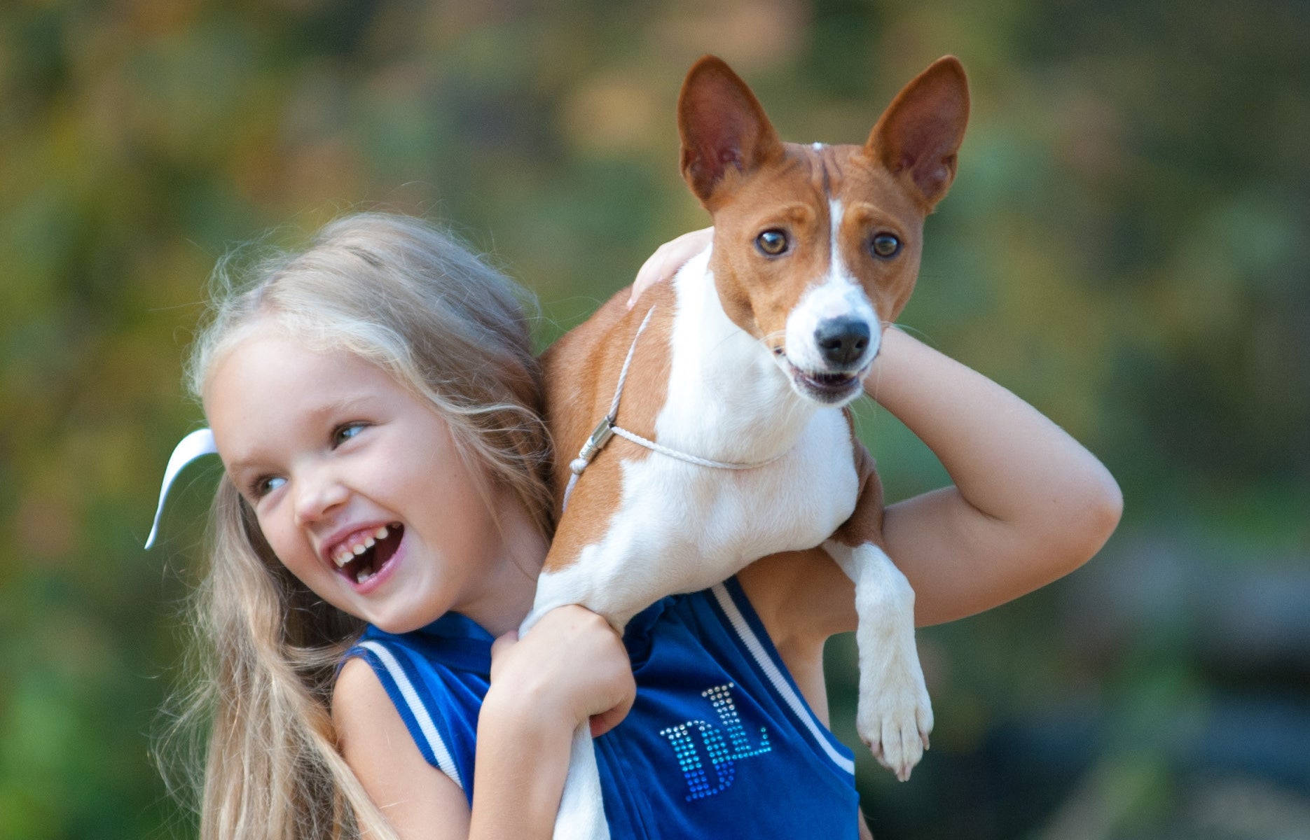 Laughing girl with basenji dog, holding it on her shoulders
